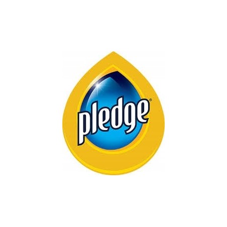 PLEDGE Beautify It Spray do Mebli Drewnianych 0,25