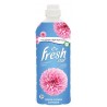 Fresh Star Spring Flower...
