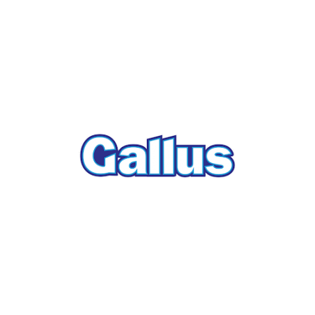 GALLUS Spray do Czyszczenia Piekarnika 750ml DE