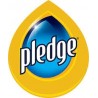 Pledge